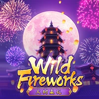 WILD FIREWORKS